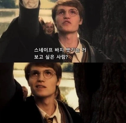 해리포터) 제임스 포터의 비밀_2.webp
