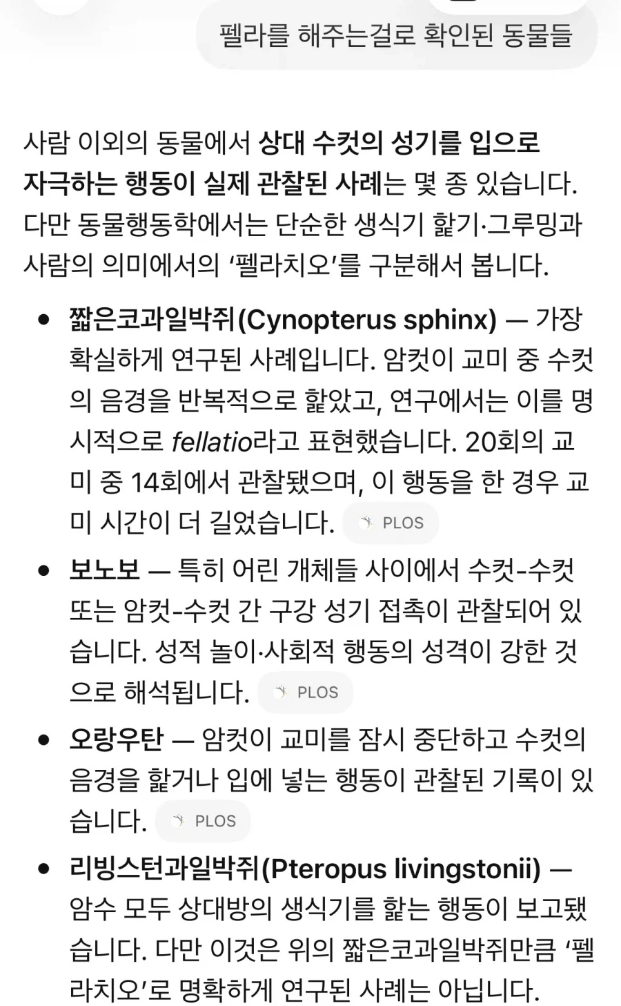챗지피티의 유용성_1.webp