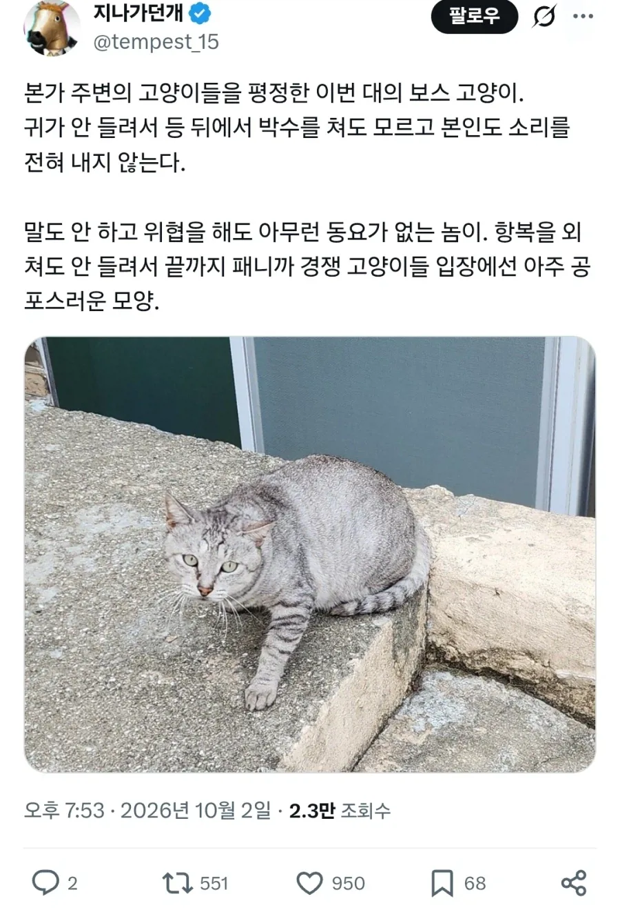 고양이들 : 으아악 미1친놈이다_1.webp