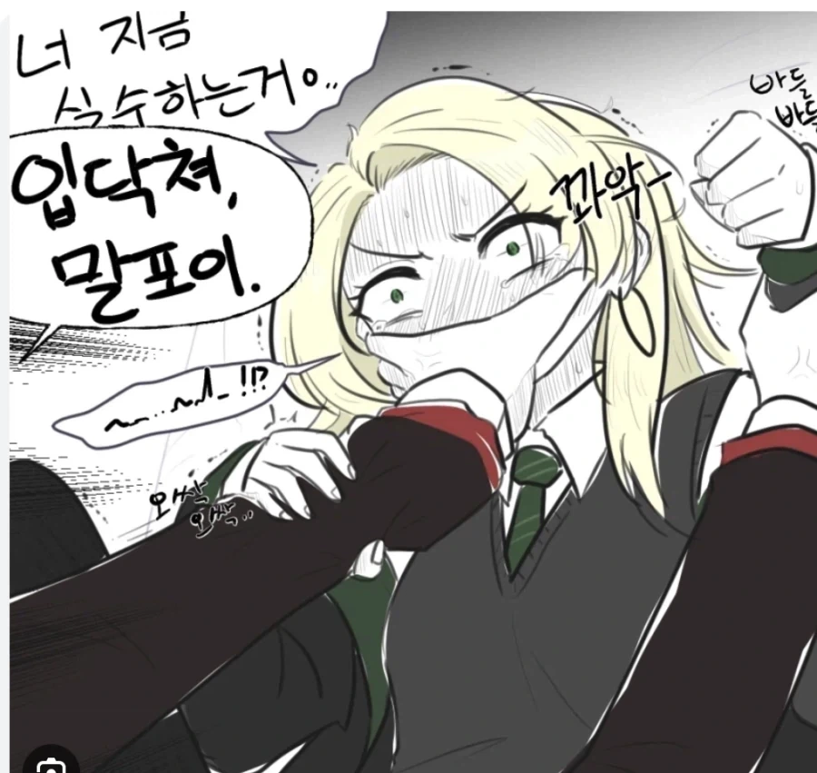 사람들이 생각하는 해리와 ts말포이_2.webp