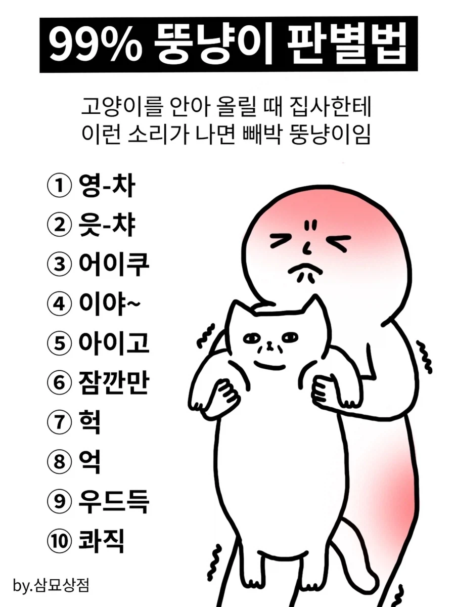 뚠냥이 판별법?_1.webp