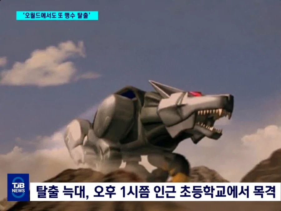 한국의 동물 탈출 소동_3.webp