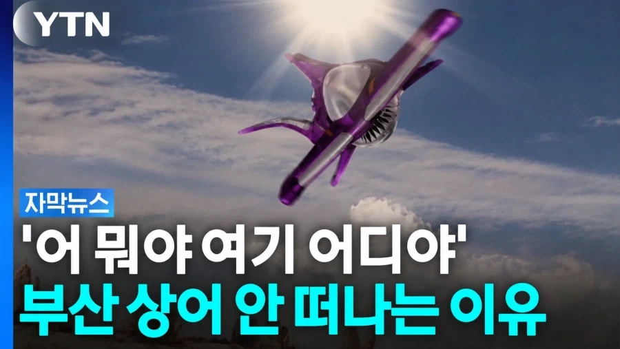 한국의 동물 탈출 소동_5.webp