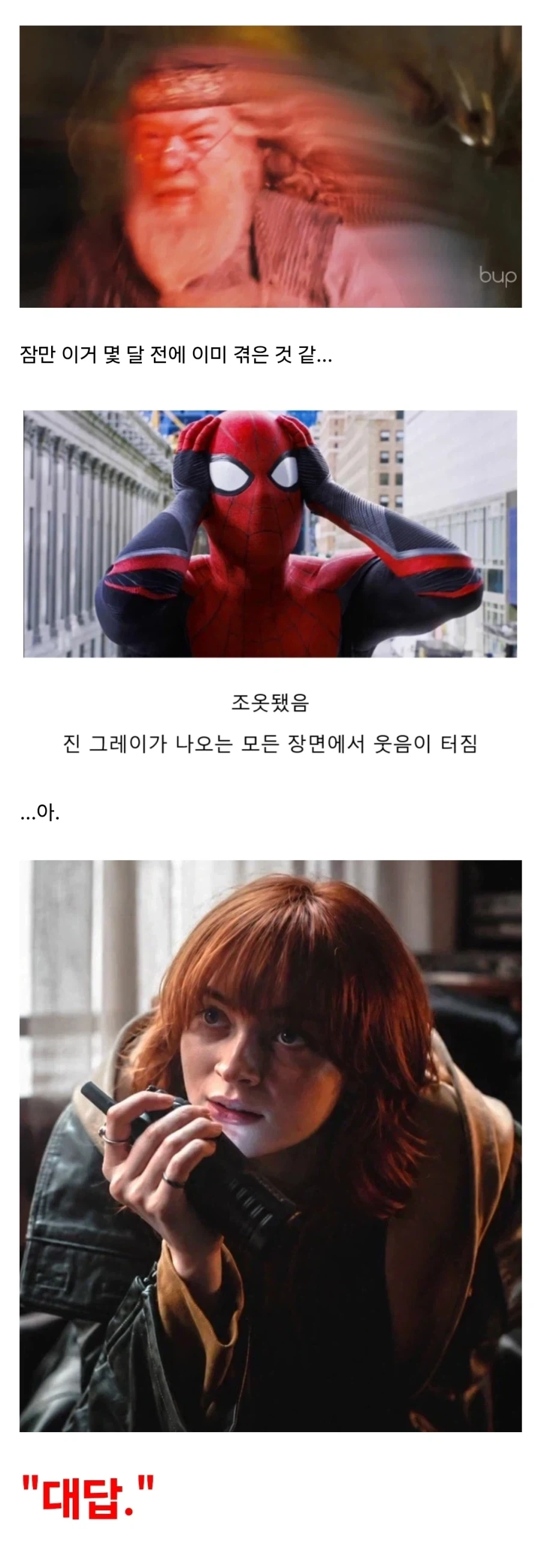 해리포터)