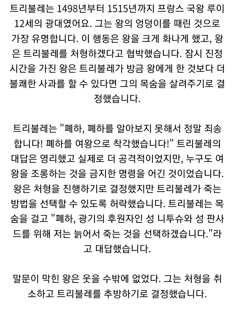 광대는 멍청한 컨셉이라서 왕에게 무례하게 해도 봐줬다_2.webp