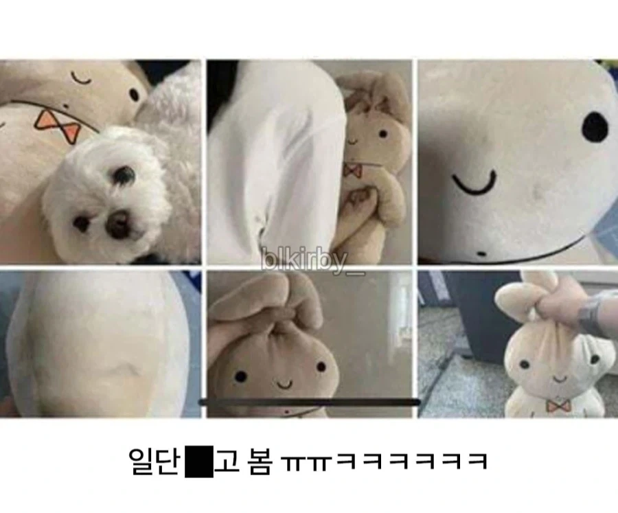 짱구에 나오는 유리 토끼인형 구매 후기_3.webp