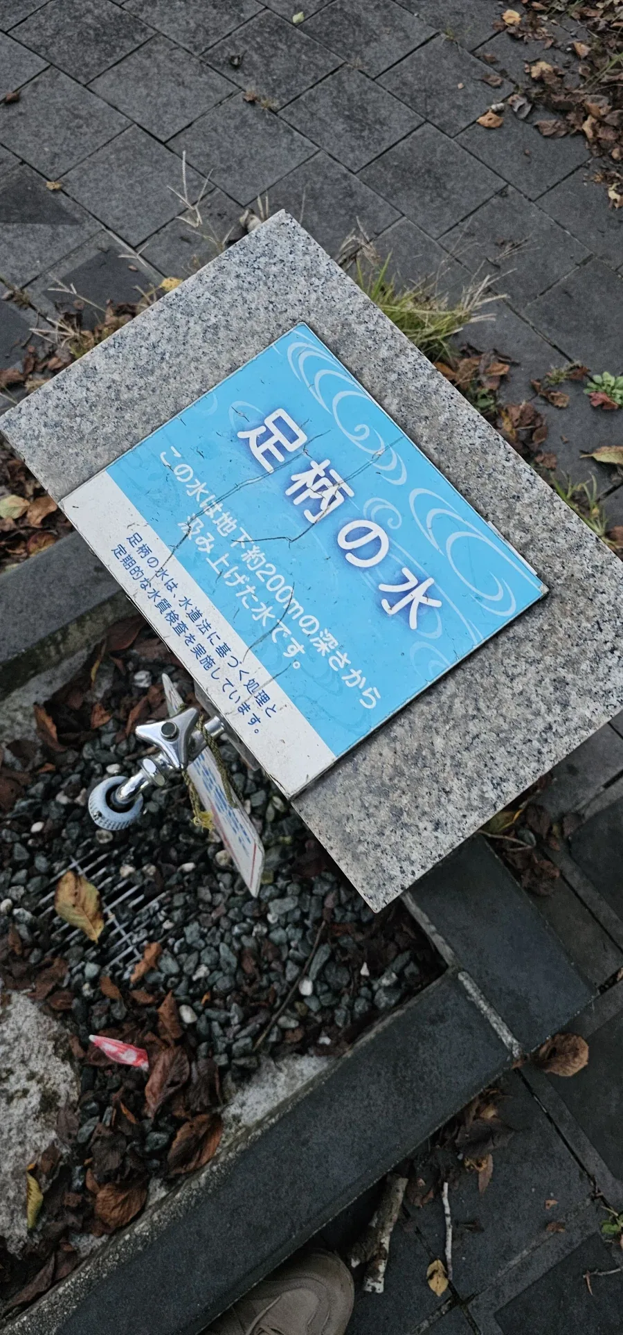 먹어도 된다는데 먹으면 안될거 같음_2.webp