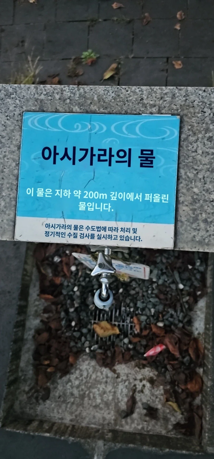먹어도 된다는데 먹으면 안될거 같음_3.webp