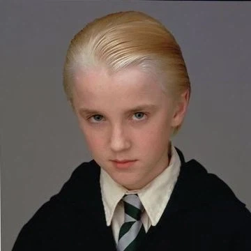 해리포터) TS 말포이 대유행에서 알아두면 좋은 사실_2.webp