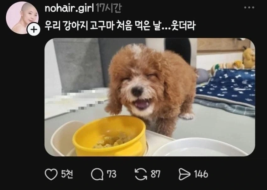 강아지의 고구마 첫경험.......jpg_1.webp