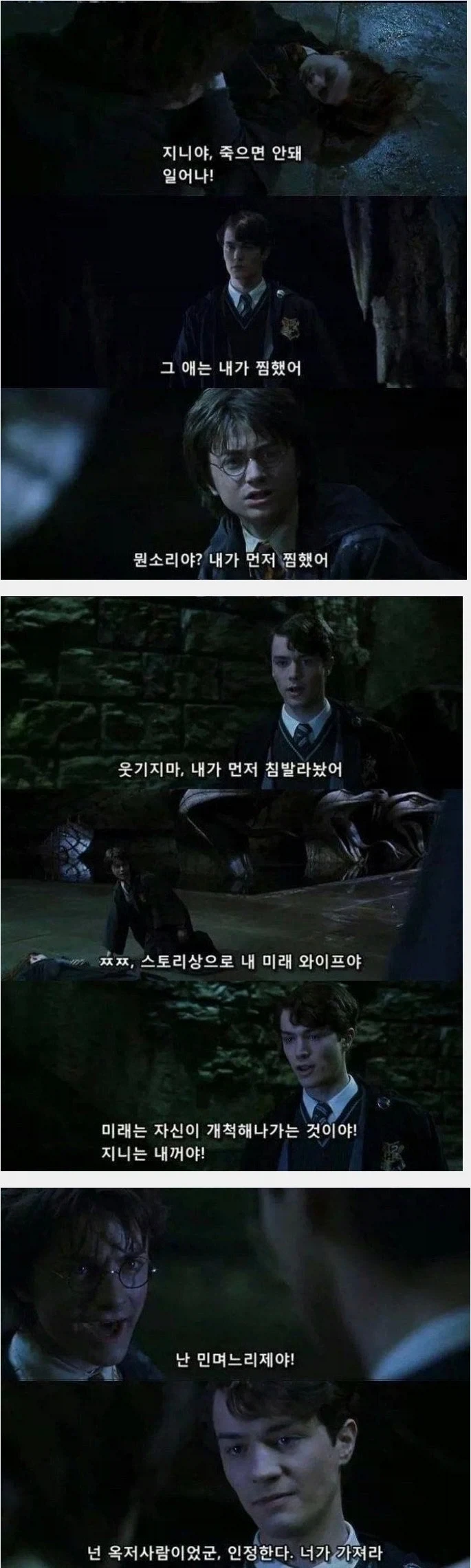 해리포터)