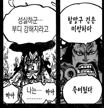 원피스에 나왔던 총들 중 가장 강력한 총_1.webp