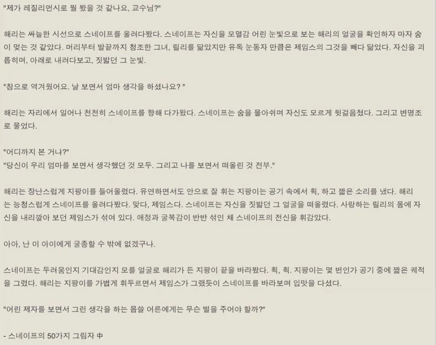 해리포터)