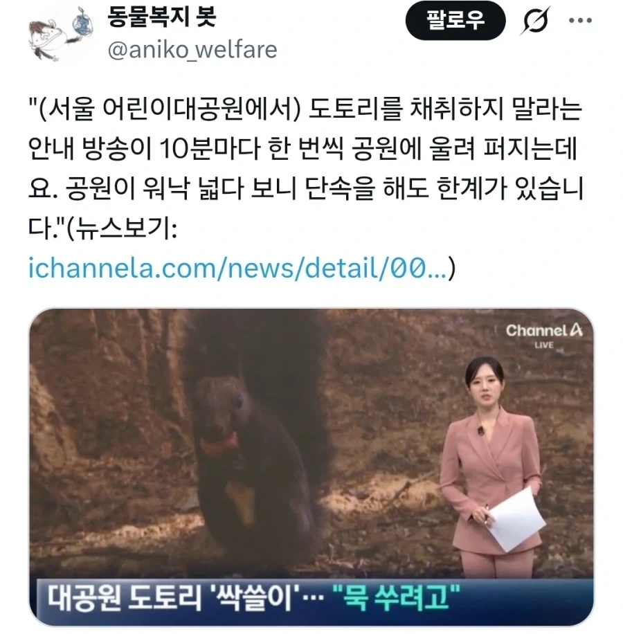 대공원 도토리 ‘싹쓸이’…“묵 쑤려고” [_1.webp