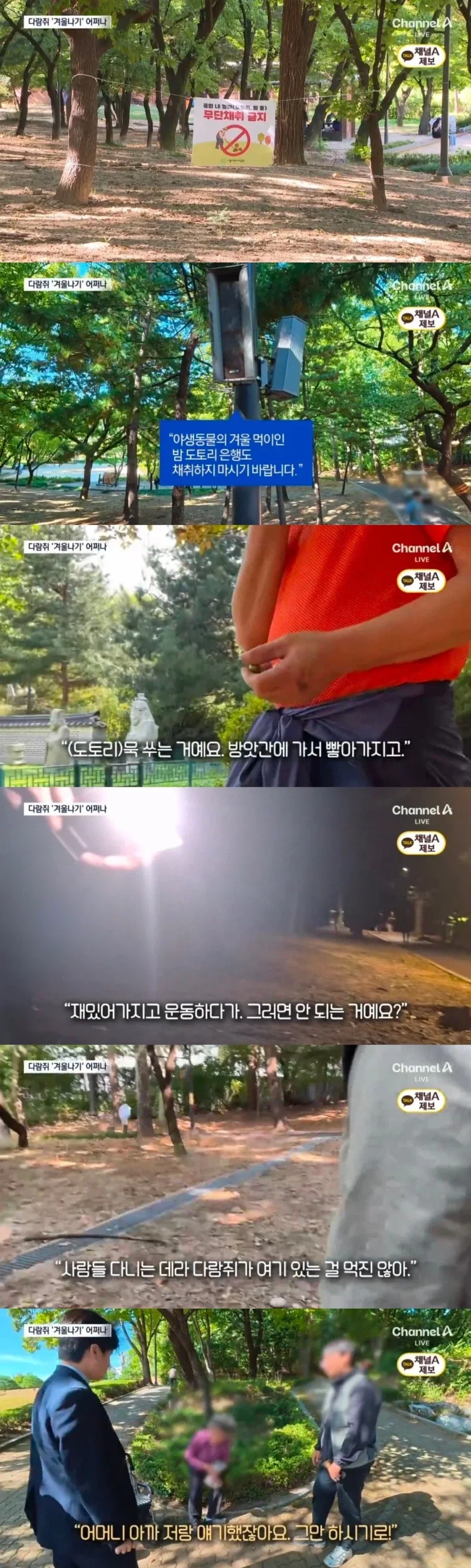 대공원 도토리 ‘싹쓸이’…“묵 쑤려고” [_2.webp