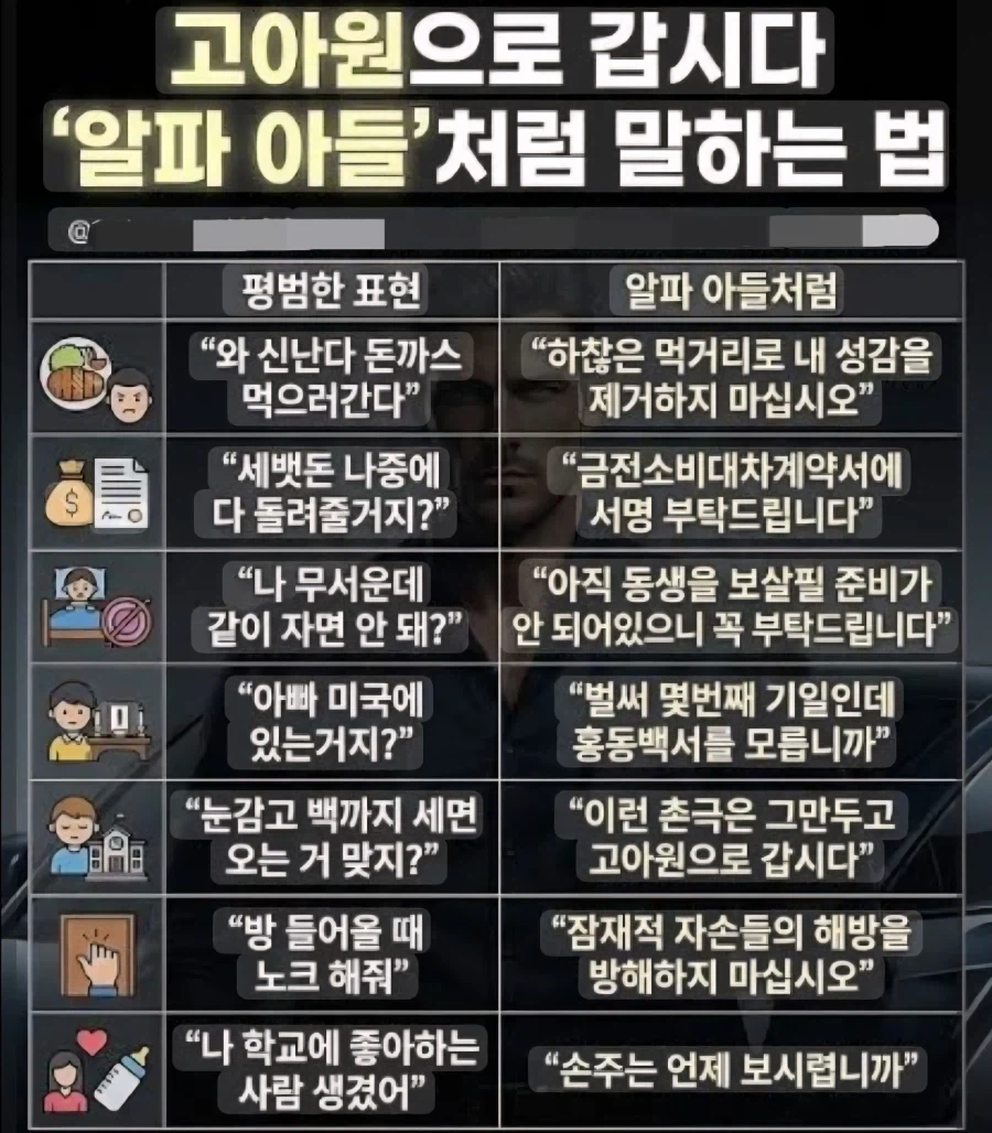 알파 매일 아니 알파 아들이 되는 법.jpg_1.webp