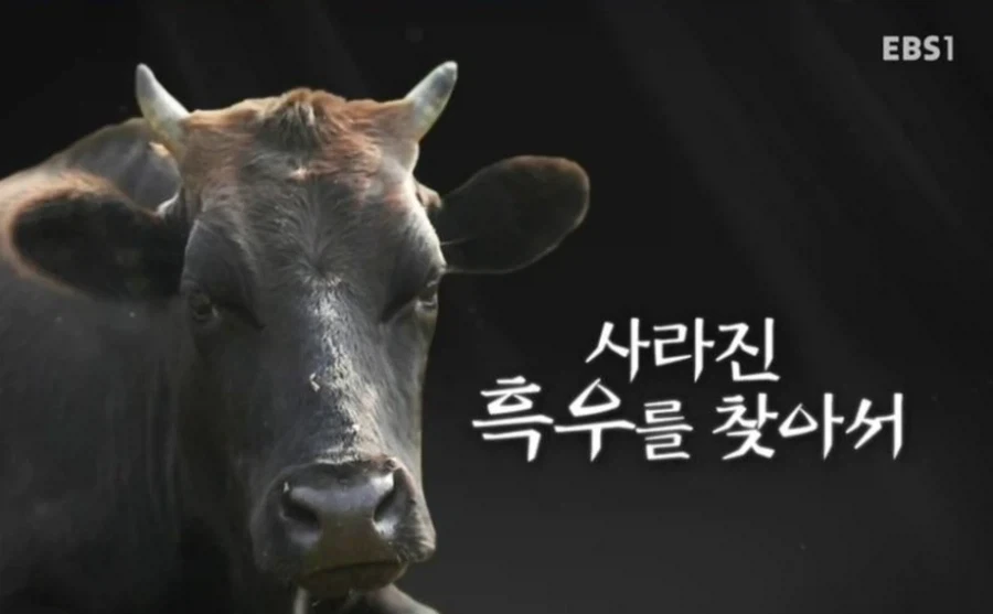 여친이 미국 여군인데_2.webp