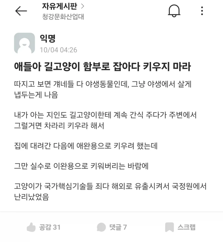 길고양이 함부로 잡아다 키우지 마라.jpg_1.webp