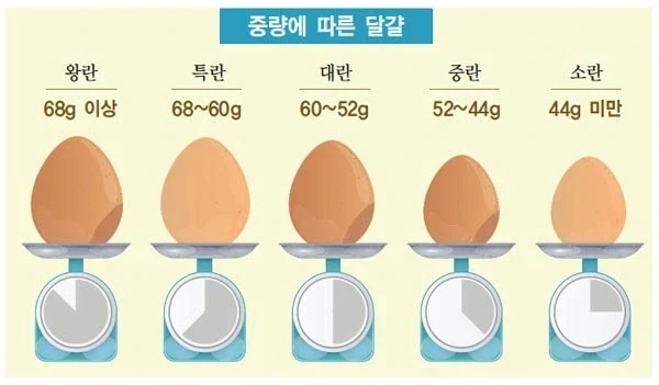 홈베이킹 찾다보면 빡치는거_1.webp