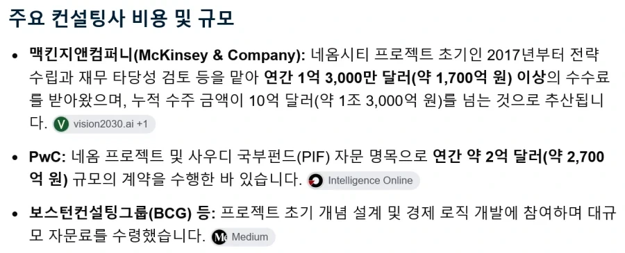 취소된 사우디 네옴시티 컨설팅 비용_3.webp