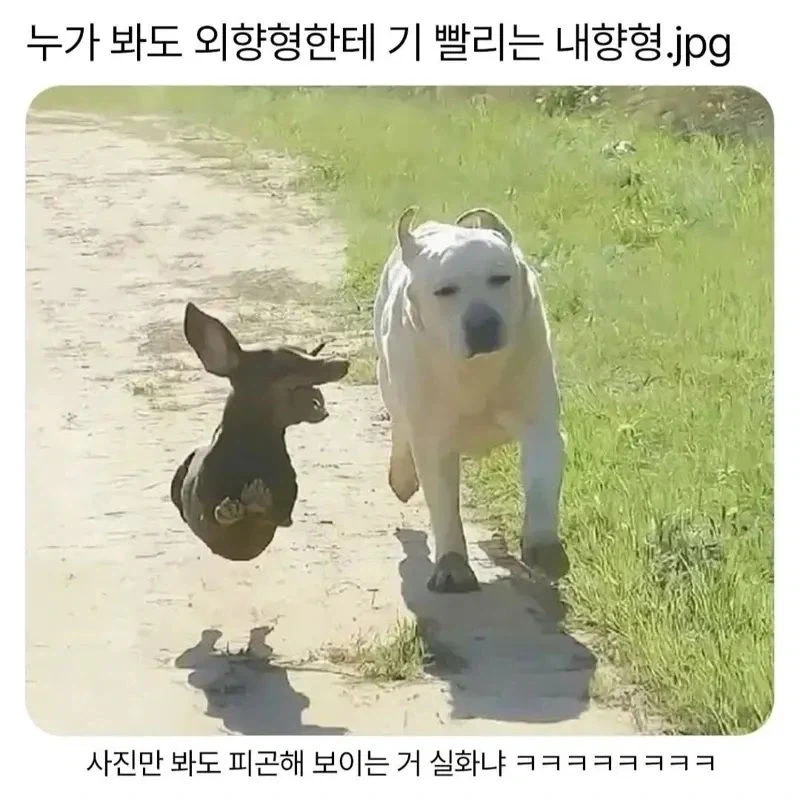 대문자 E와 I가 만났다.JPG_1.webp