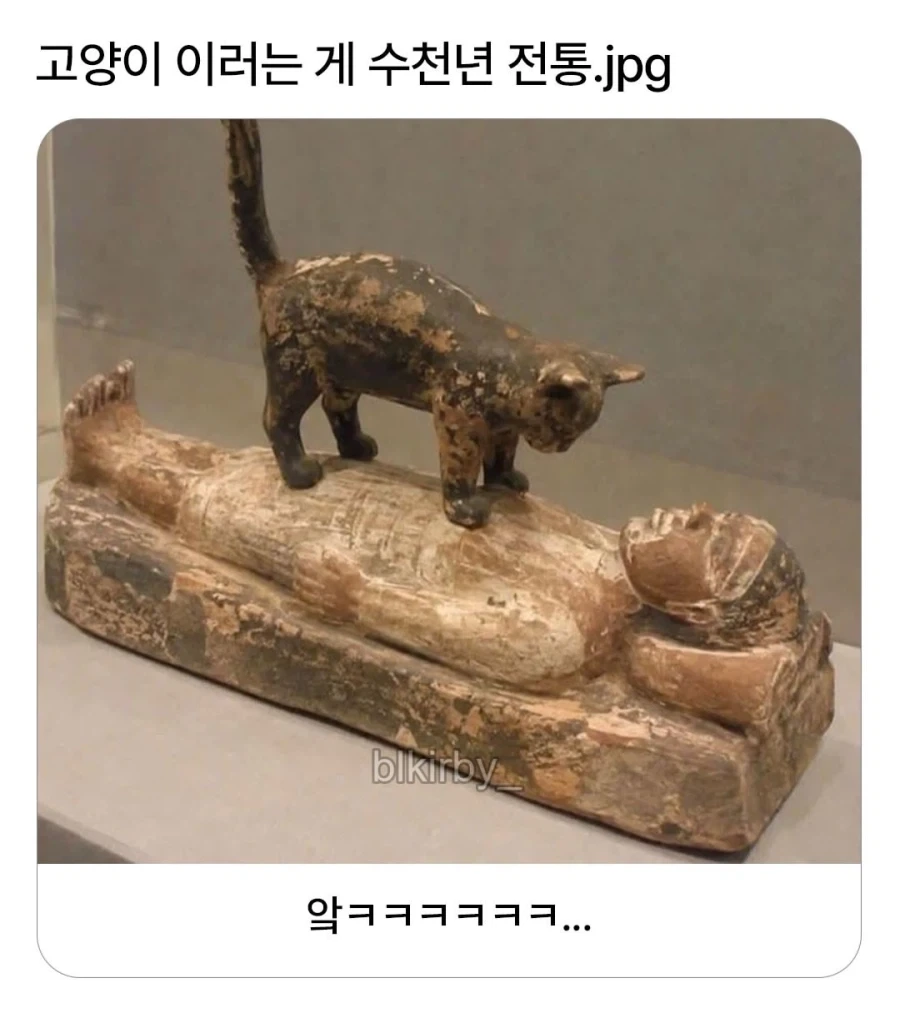 고양이의 수천년된 전통_1.webp