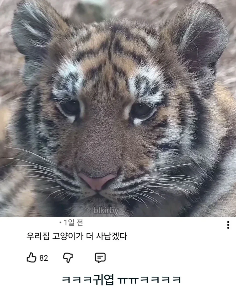 언제 무서워질거냐는 설호_2.webp