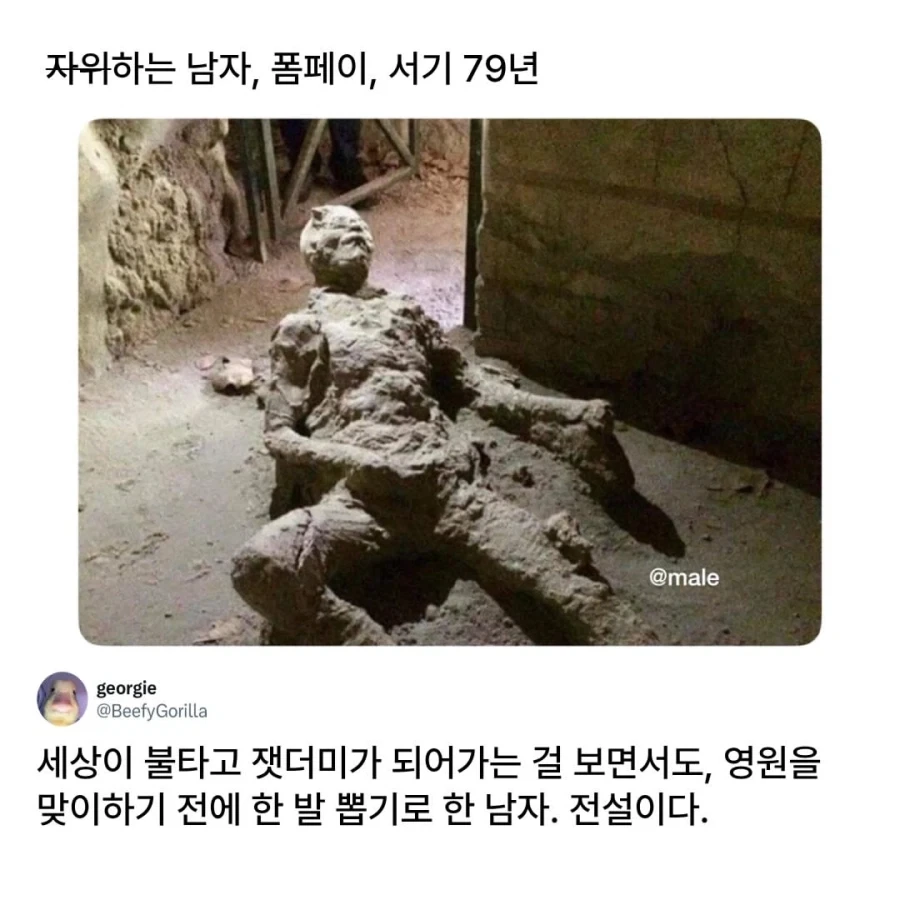 이왕 이렇게 된 거 한발 뽑겠습니다._1.webp