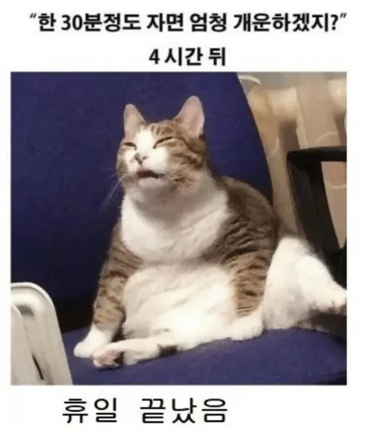 휴일에 낮잠 자면 안되는 이유 ㄹㅇ;;_1.webp