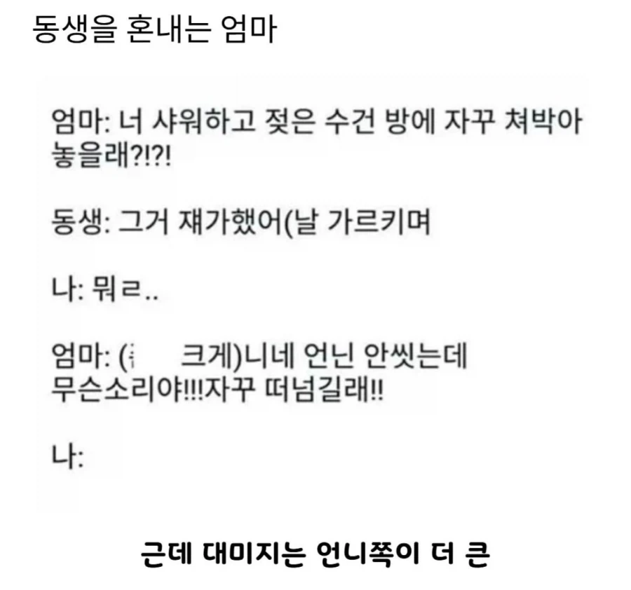 동생 혼내는 엄마_1.webp