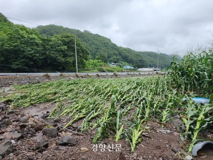 숙명여대에 농대가 없는 가장 큰 이유_1.webp
