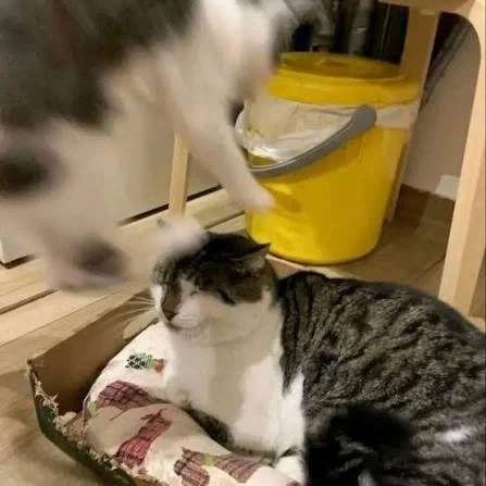 기분이 안좋을 땐