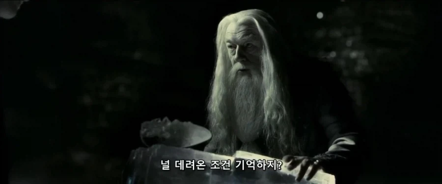 덤블도어:지금부터 난 ts물약을 마실거란다 네가 도와다오 해리_4.webp