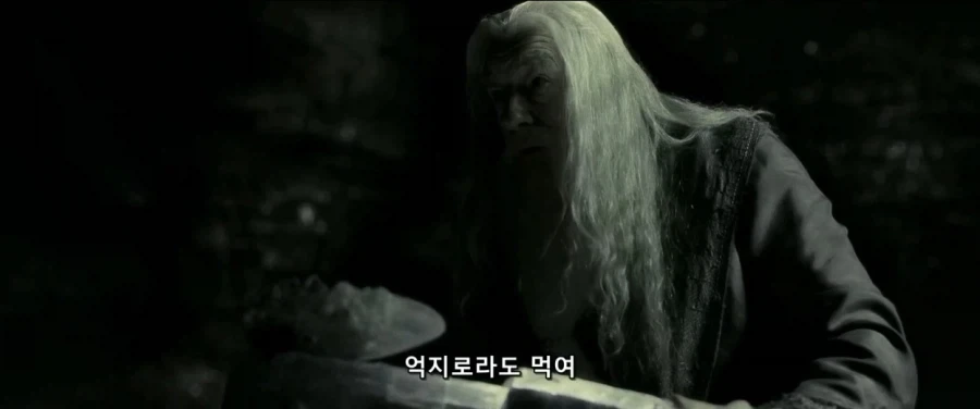 덤블도어:지금부터 난 ts물약을 마실거란다 네가 도와다오 해리_8.webp