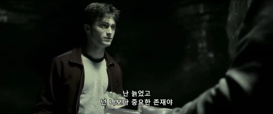 덤블도어:지금부터 난 ts물약을 마실거란다 네가 도와다오 해리_10.webp