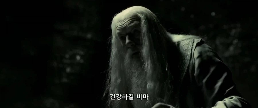 덤블도어:지금부터 난 ts물약을 마실거란다 네가 도와다오 해리_11.webp