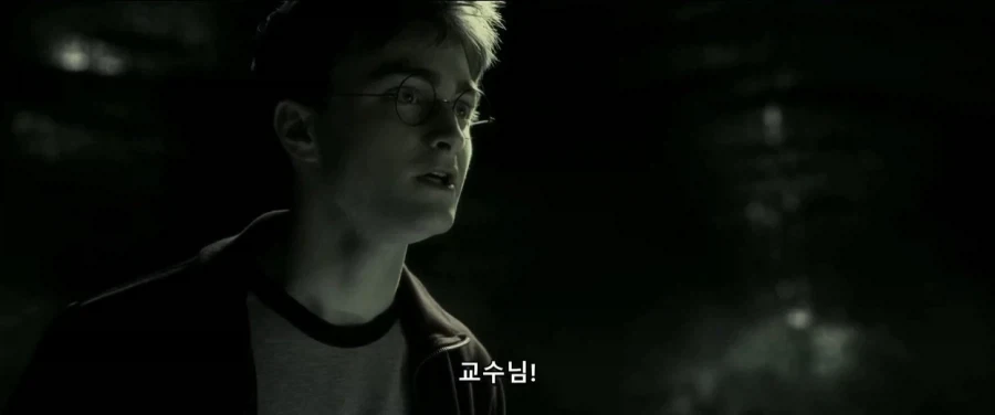 덤블도어:지금부터 난 ts물약을 마실거란다 네가 도와다오 해리_14.webp