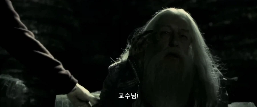 덤블도어:지금부터 난 ts물약을 마실거란다 네가 도와다오 해리_18.webp