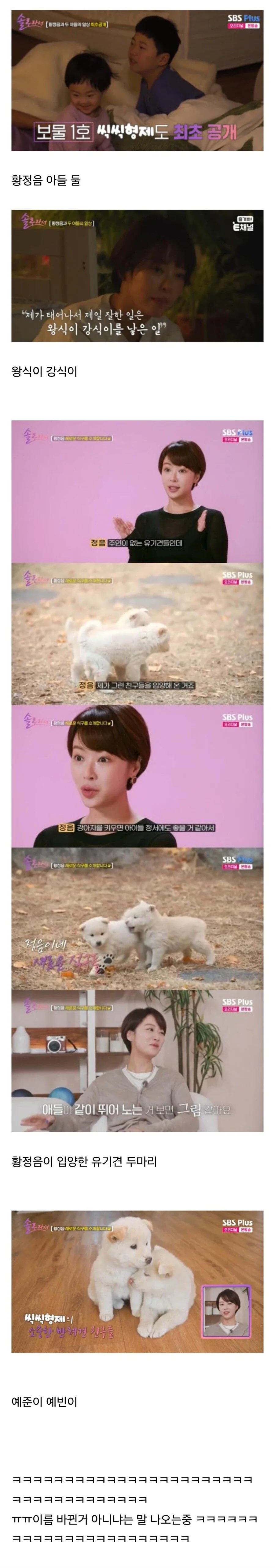 뒤바뀐 운명의 강아지와 인간_1.webp