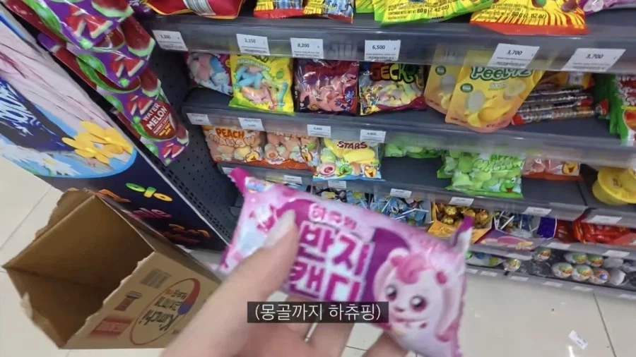 결국 몽골까지 들어간 한국의 극악한 침략군_1.webp