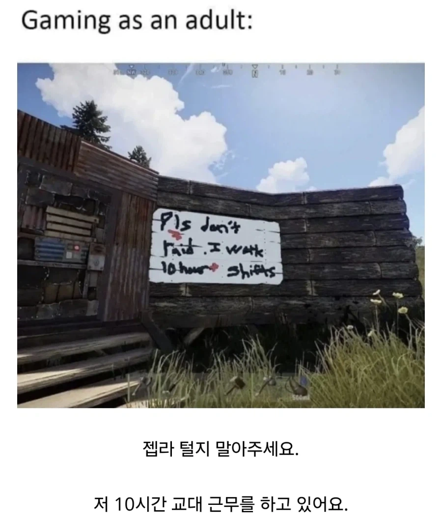 성인의 게임 생활.jpg_1.webp
