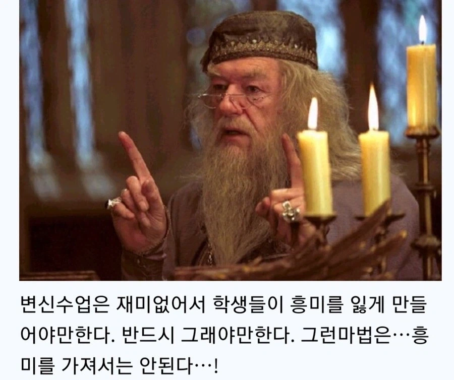 해리포터) 너희들 변신술이 얼마나 위험한지 알겠지??_1.webp