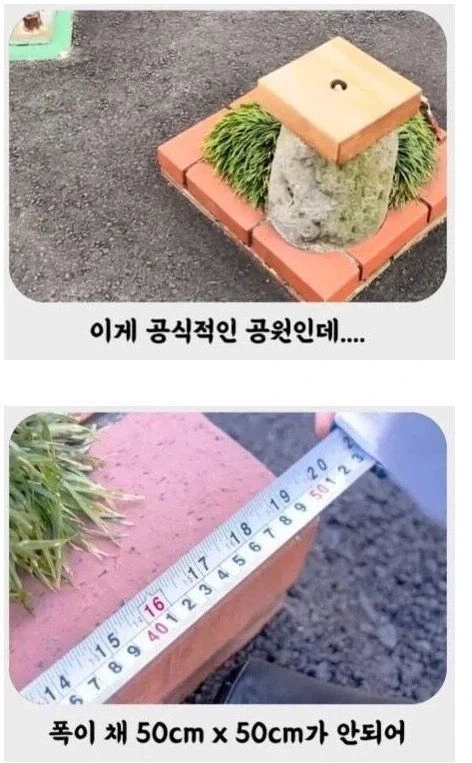 세상에서 가장 작은 공원.jpg_1.webp