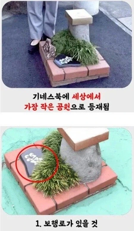 세상에서 가장 작은 공원.jpg_2.webp