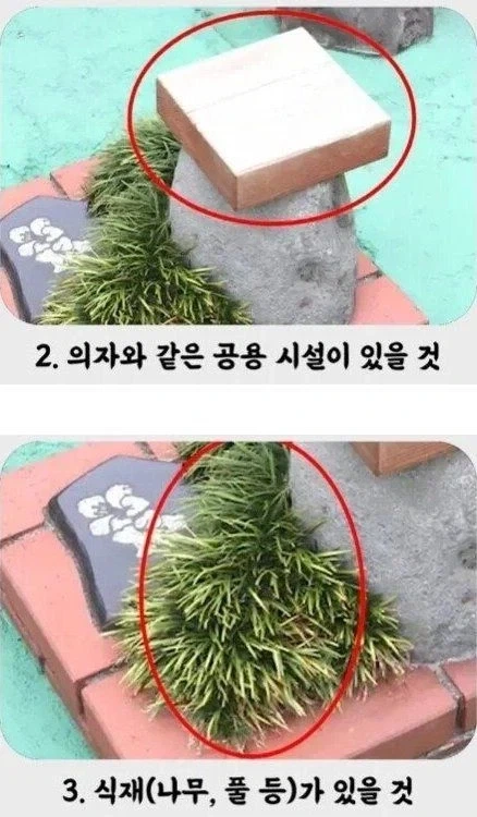 세상에서 가장 작은 공원.jpg_3.webp