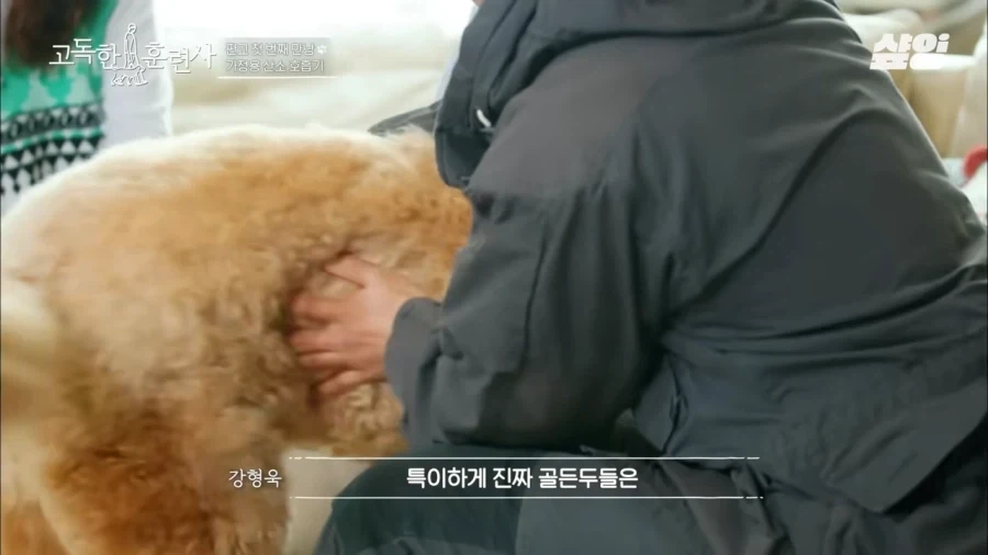 견주에게 못할말을 한듯한 강형욱_1.webp