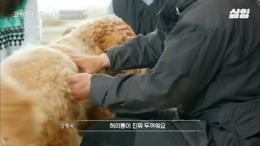 견주에게 못할말을 한듯한 강형욱_2.webp