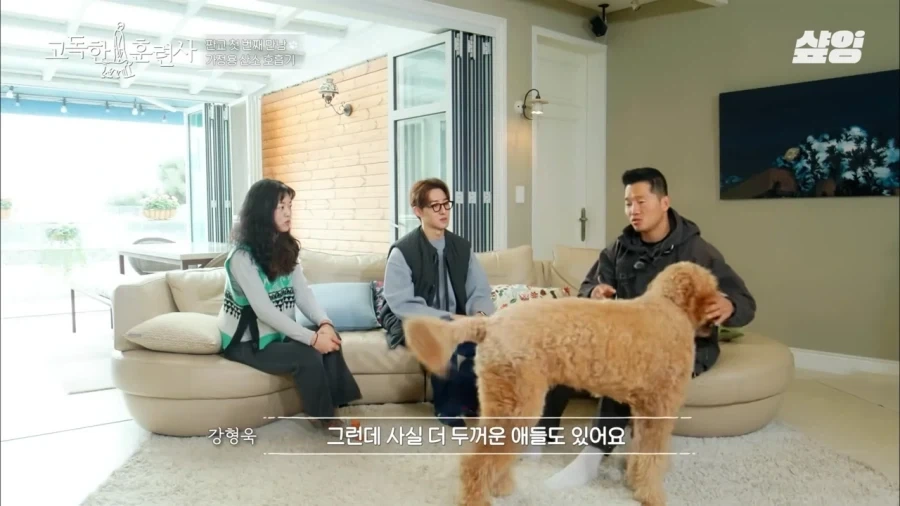 견주에게 못할말을 한듯한 강형욱_3.webp