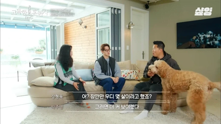 견주에게 못할말을 한듯한 강형욱_4.webp