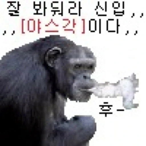 슈타게) 어른이 된 스즈하_4.webp